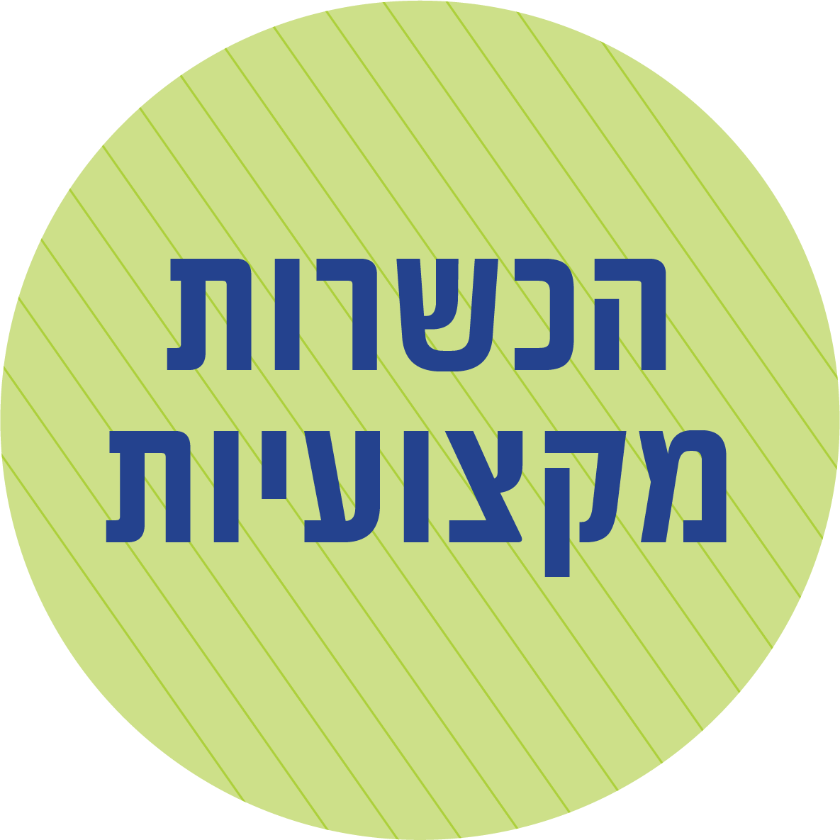 הכשרות מקצועיות