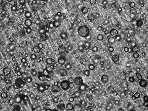 Microscope picture of corrugated sheet surface with anti-block - Tosaf laboratories 